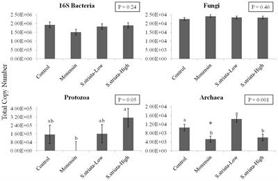 Scrophularia striata Extract Supports Rumen Fermentation and Improves Microbial Diversity in vitro Compared to <mark class="highlighted">Monensin</mark>